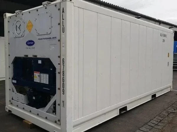 Container 20 Pieds Frigorifique